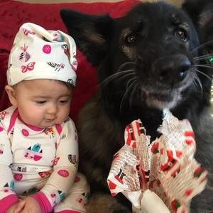 Meet your Posher, Tom